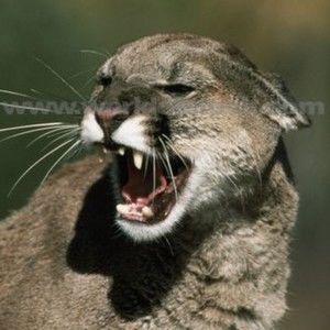 Meet your Posher, Jeffrey